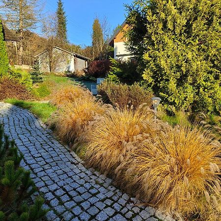 Beskid Ski Villa Weichsel Exterior foto