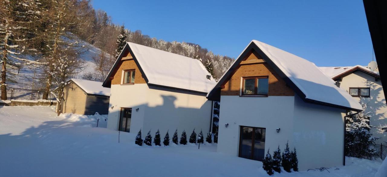 Beskid Ski Villa Weichsel Exterior foto