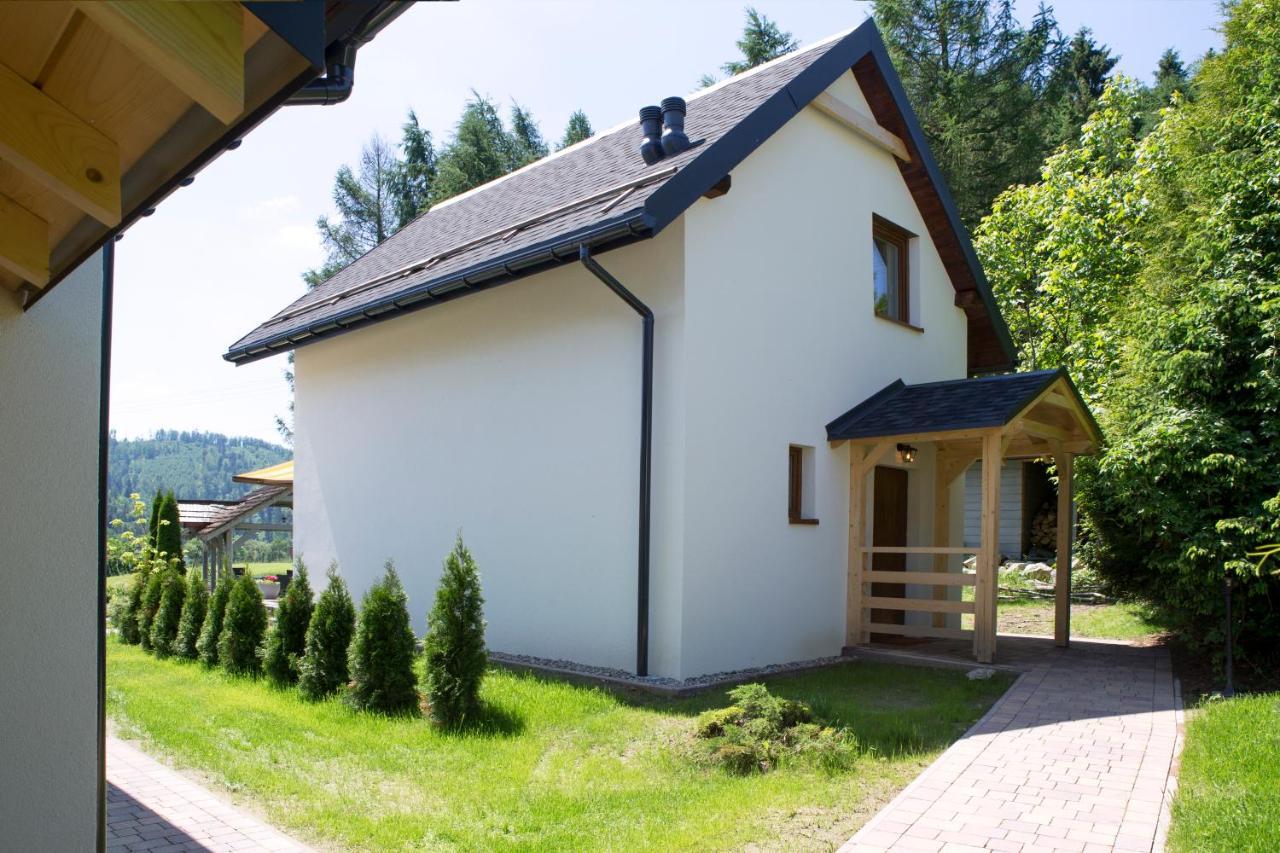 Beskid Ski Villa Weichsel Exterior foto