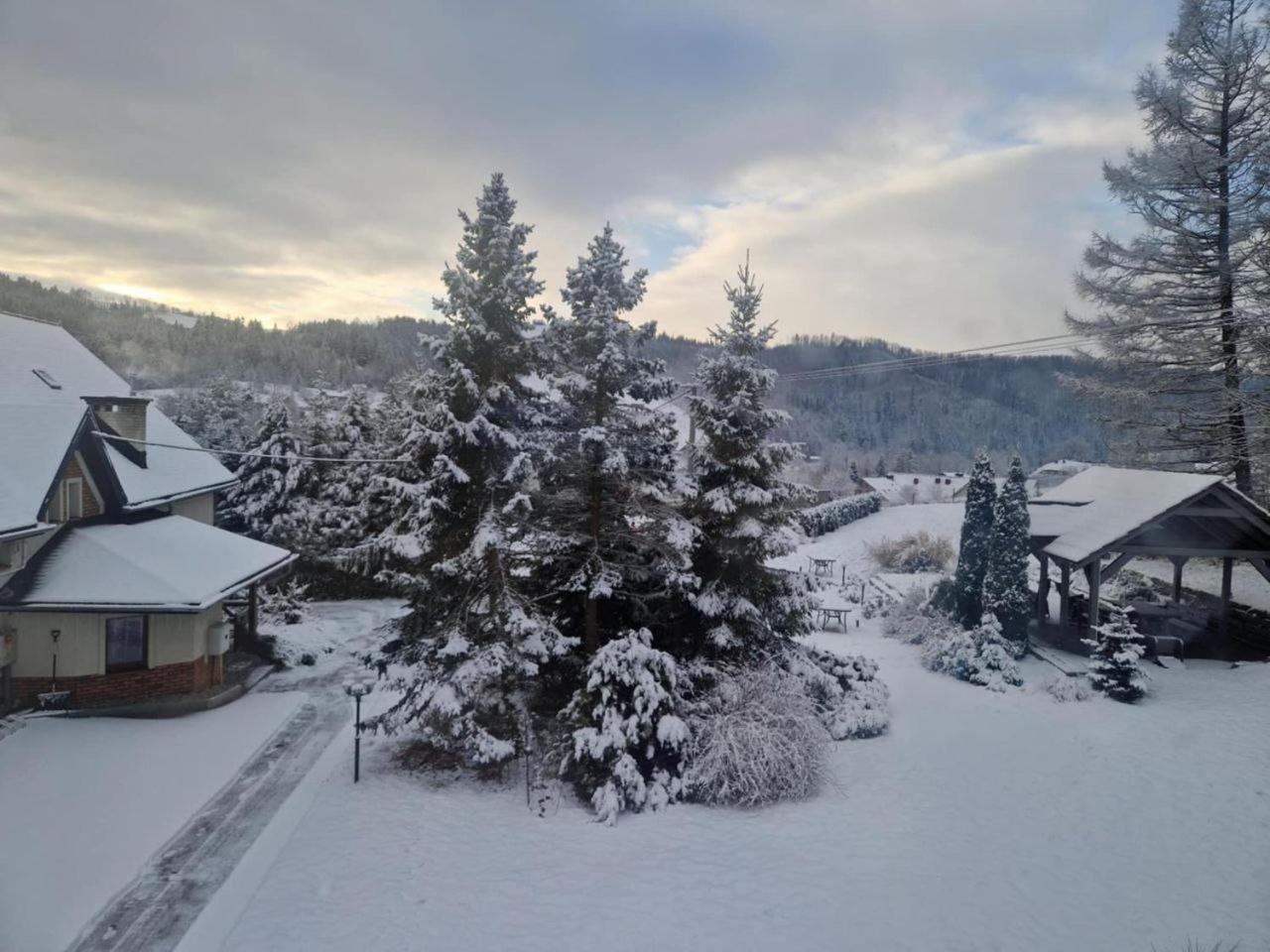 Beskid Ski Villa Weichsel Exterior foto